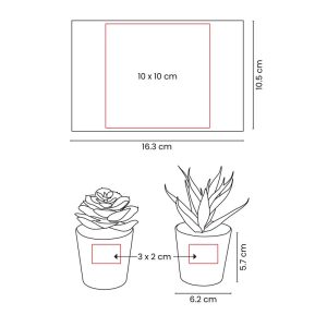 SET DE PLANTAS ALISO
