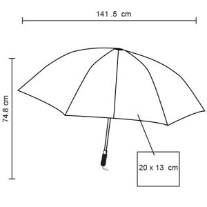 CICLON PM 20