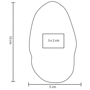 POTATO LP 47
